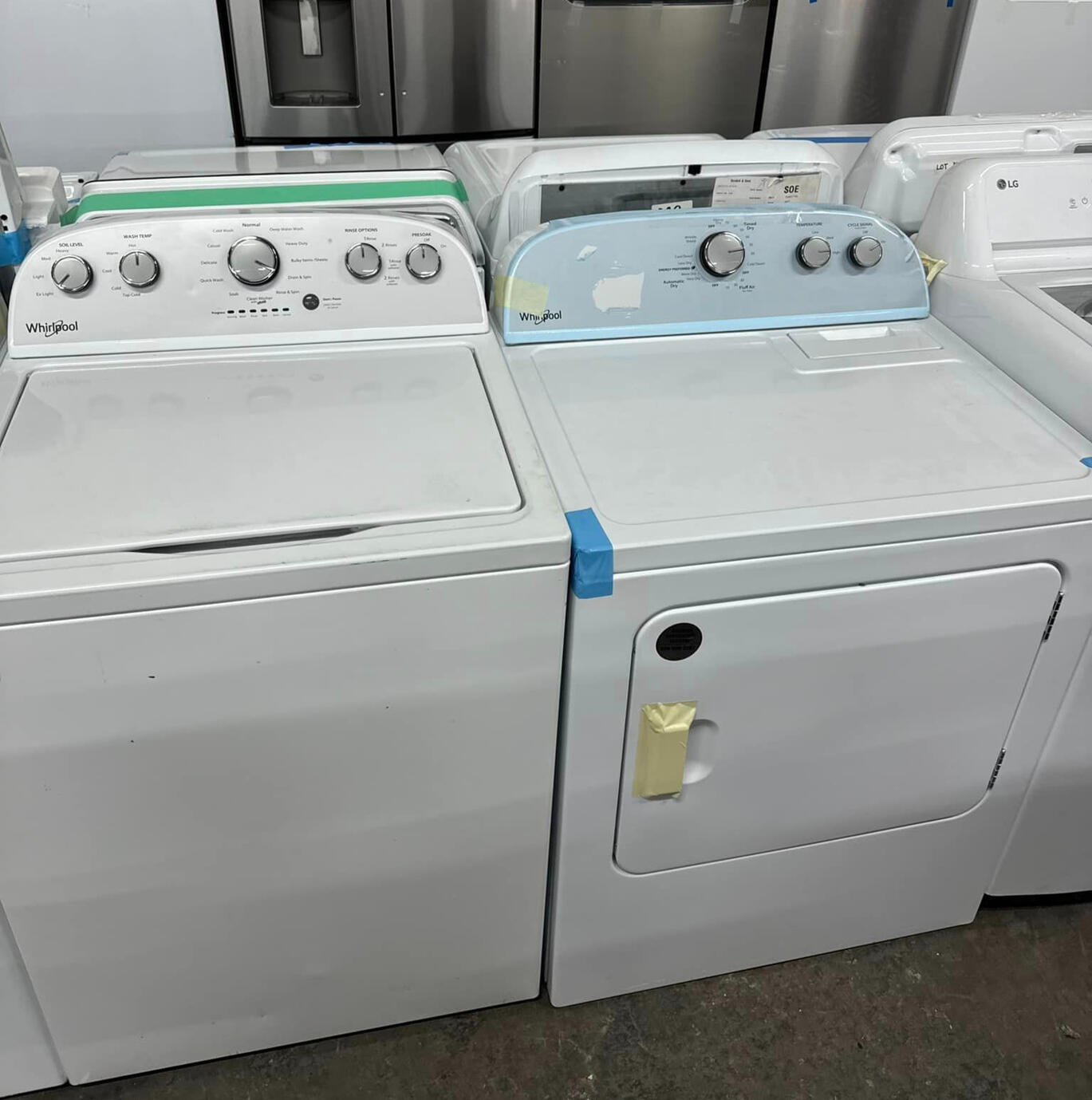 Viverra orci dapibus